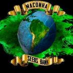 Maconha Seeds Bank