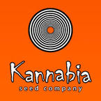 Kannabia Seeds