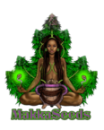 Makka Seeds