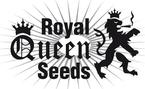 Royal Queen Seeds